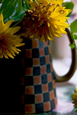 Checkered jug with withering flowers