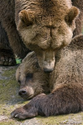 Wake up honey!