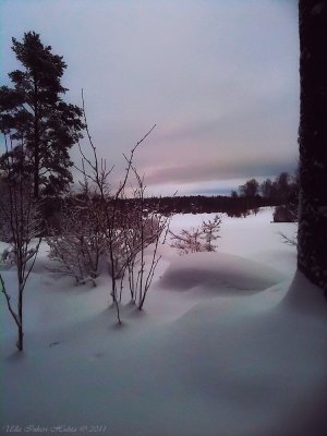 Golfcourse January 3