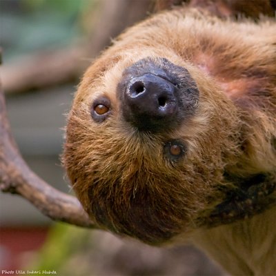 Hi there, upside down world!