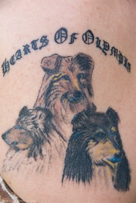 The tattoo with the collies