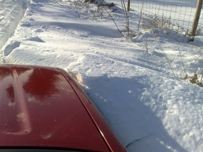 Deep snow.jpg