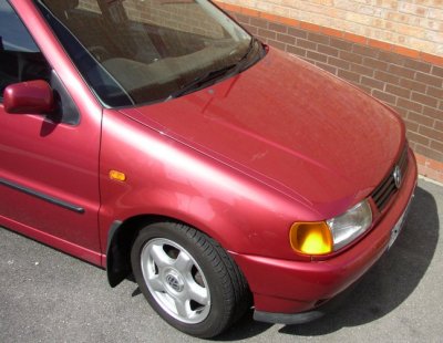 RED POLO FRONT R REG.jpg