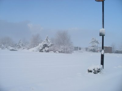 Saunders Garden centre in snow 1.jpg