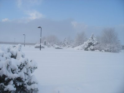 Saunders Garden centre in snow 2.jpg
