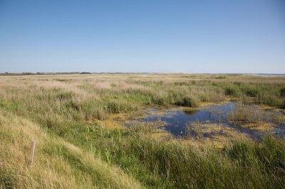 Marais de Trunvel