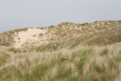 Dunes de Ste Anne la Palud