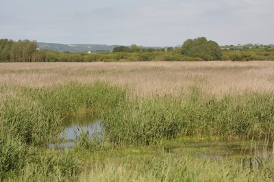 Marais de Kervijen
