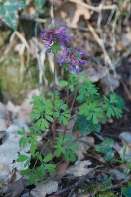 _MG_6380.jpg