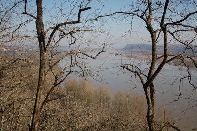 _MG_6385.jpg