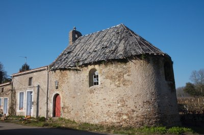 _MG_6386.jpg