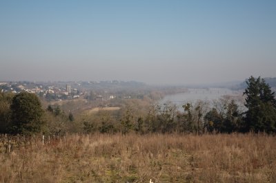_MG_6387.jpg