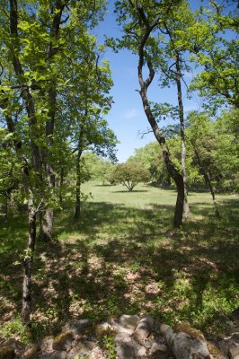 Sentier des terrasses, Goult