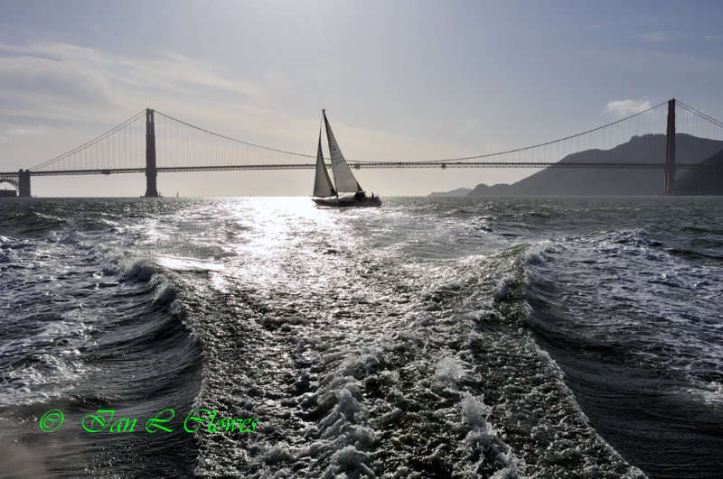 Golden Gate sailing