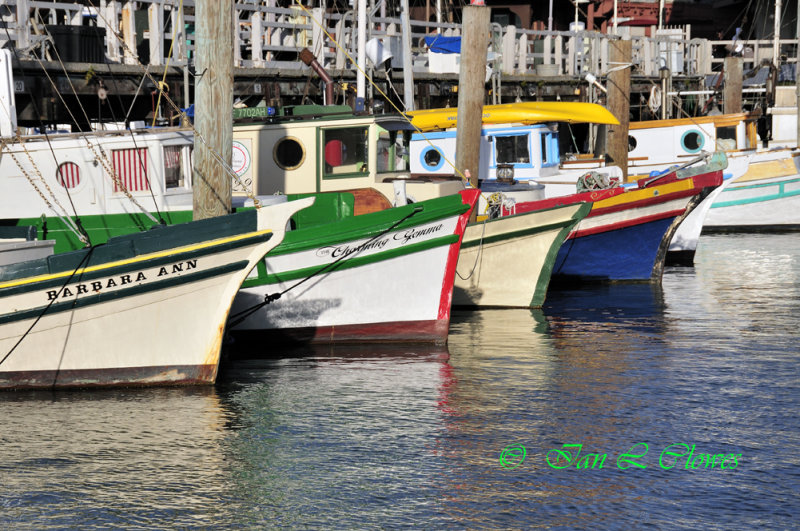 Boats in the fishermans wharf