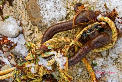 shackle and frayed rope