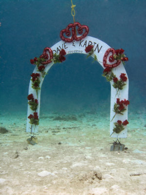 arch cleaned up