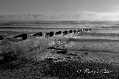 sea mist
