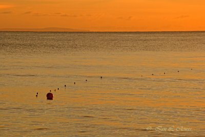 fishing floats at sunrise