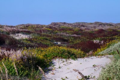 IMG_6625.jpg