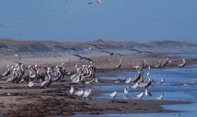 IMG_6666.jpg