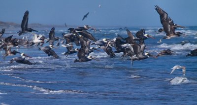IMG_6670.jpg