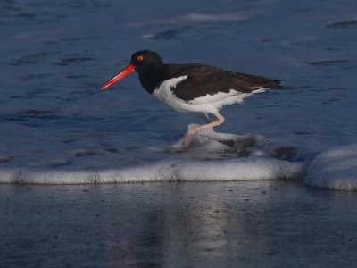 IMG_6697.jpg