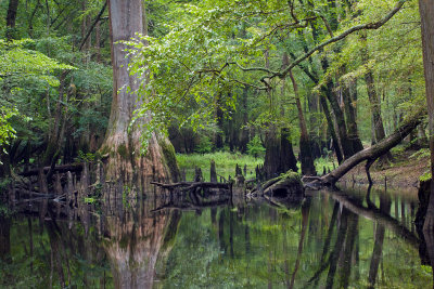 Dugdemona River