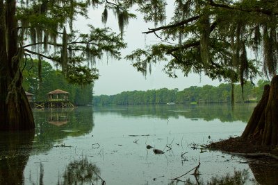 A Lakeside View