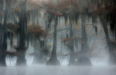 Caddo Lake