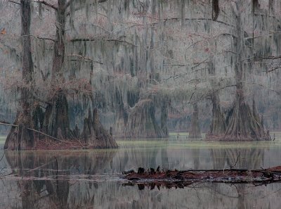 Caddo Lake