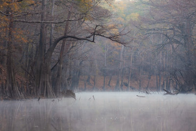 Bayou  Bodcau