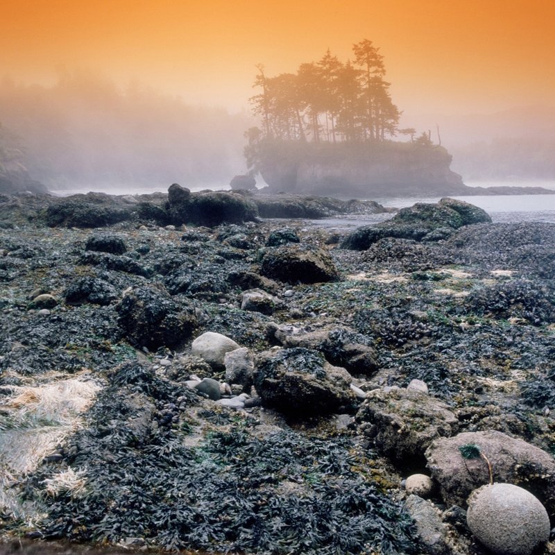 Washington Coastline