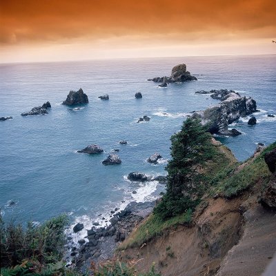 Oregon Coast Sanctuary