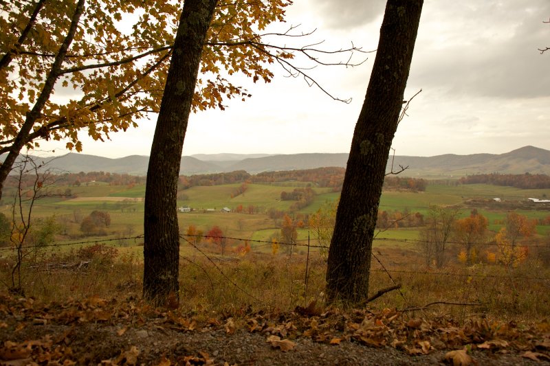 Burkes Garden overlook