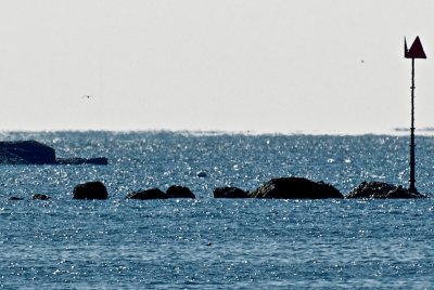 Can't you see him? fourth rock from the left..jpg