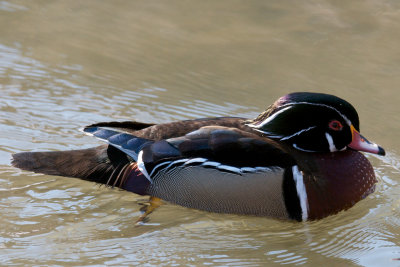 g1/98/850098/3/109496806.faefDKPf.jpg