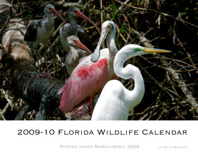 2009-2010 Florida Wildlife Calendar