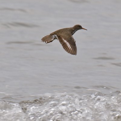 g1/98/850098/3/116062493.YLuBKzXn.jpg