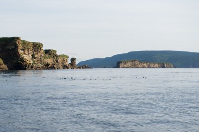 g1/98/850098/3/116068446.HboQsaje.jpg
