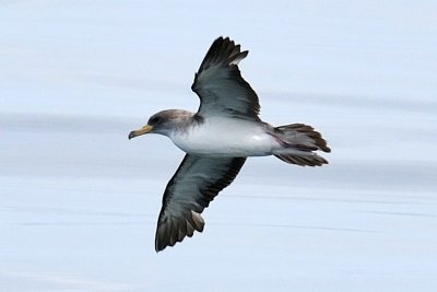 g1/98/850098/3/117137125.f7JL9cT7.jpg
