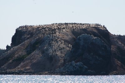 le aux Golands (Gull Island) just offshore