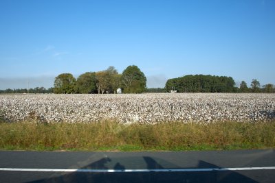 Entering cotton country