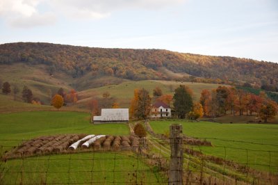 Burke's Garden view