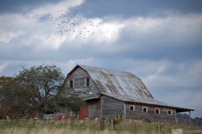 Burke's Garden barn