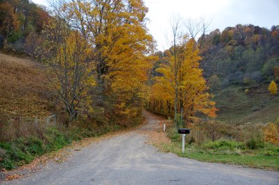 Road out of Burke's Garden
