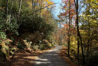 road to Cataloochee from the north