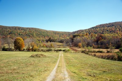 Grassy Cove, TN
