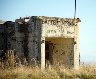 Battery Herring!