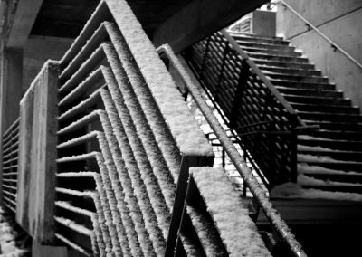 Lines